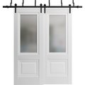 Sartodoors Sliding Closet Barn Bypass Doors 56 x 96in, White Silk W/ Frosted Glass, Sturdy 6.6ft Rails LUCIA8822BBB-WS-5696